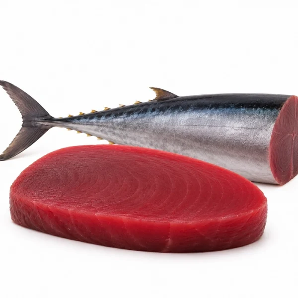 جيذر / تونة (Tuna)