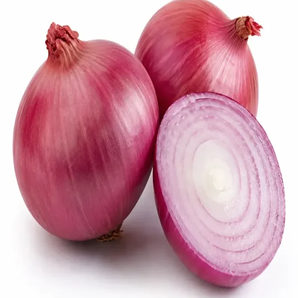 بصل يمني (Yemeni Onion)