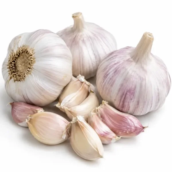 ثوم (Garlic)