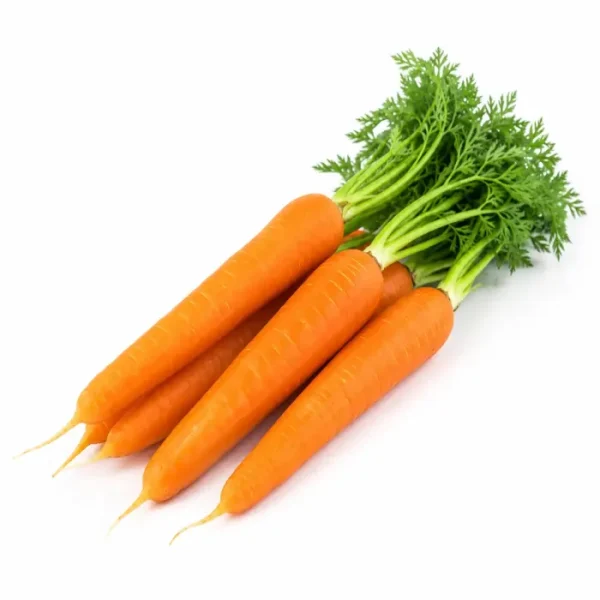جزر (Carrot)