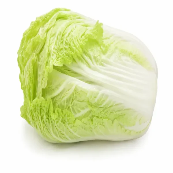 خس صيني (Bok Choy)