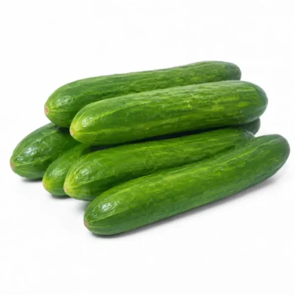 خيار (Cucumber)