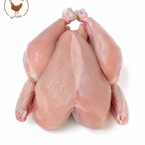 دجاج (Chicken)