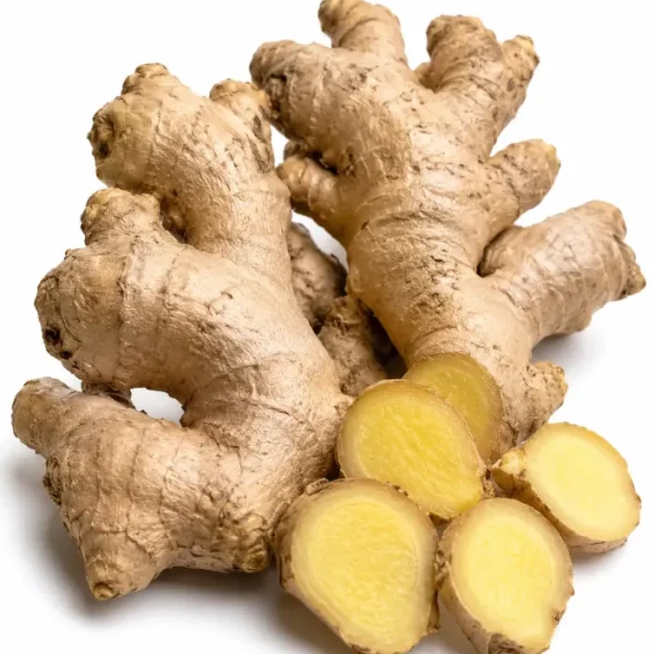 زنجبيل (Ginger)
